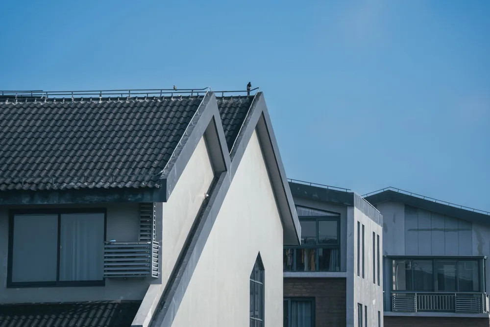 The same roof after treatment