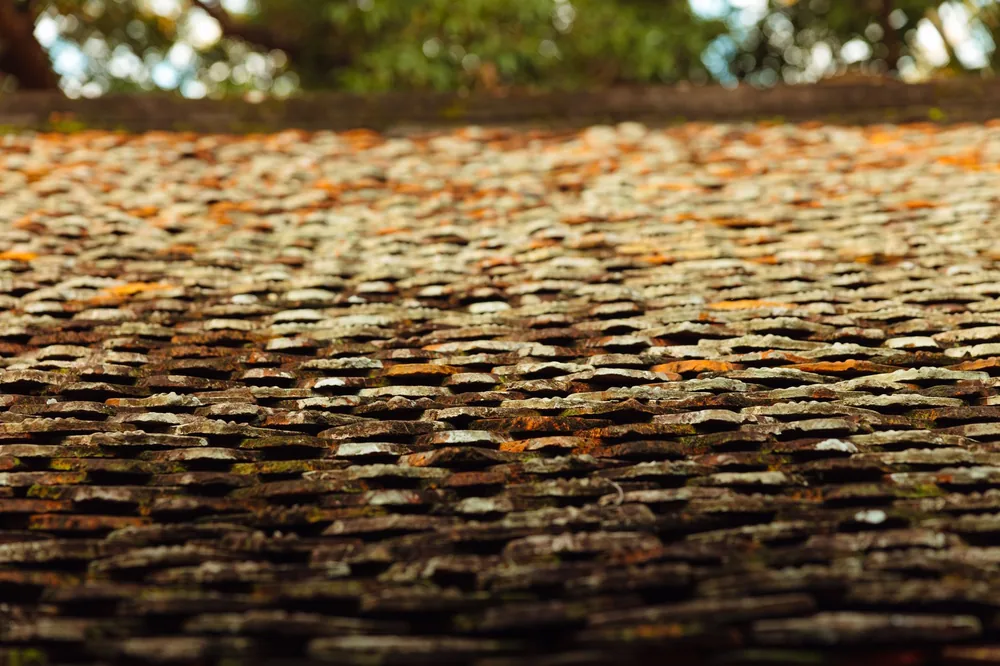 Concrete interlocking tiles covered in lichen