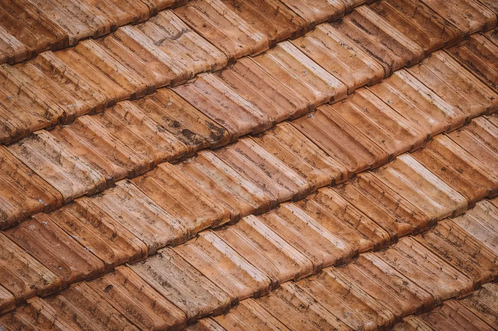 An old clay tile roof gone dark with growth