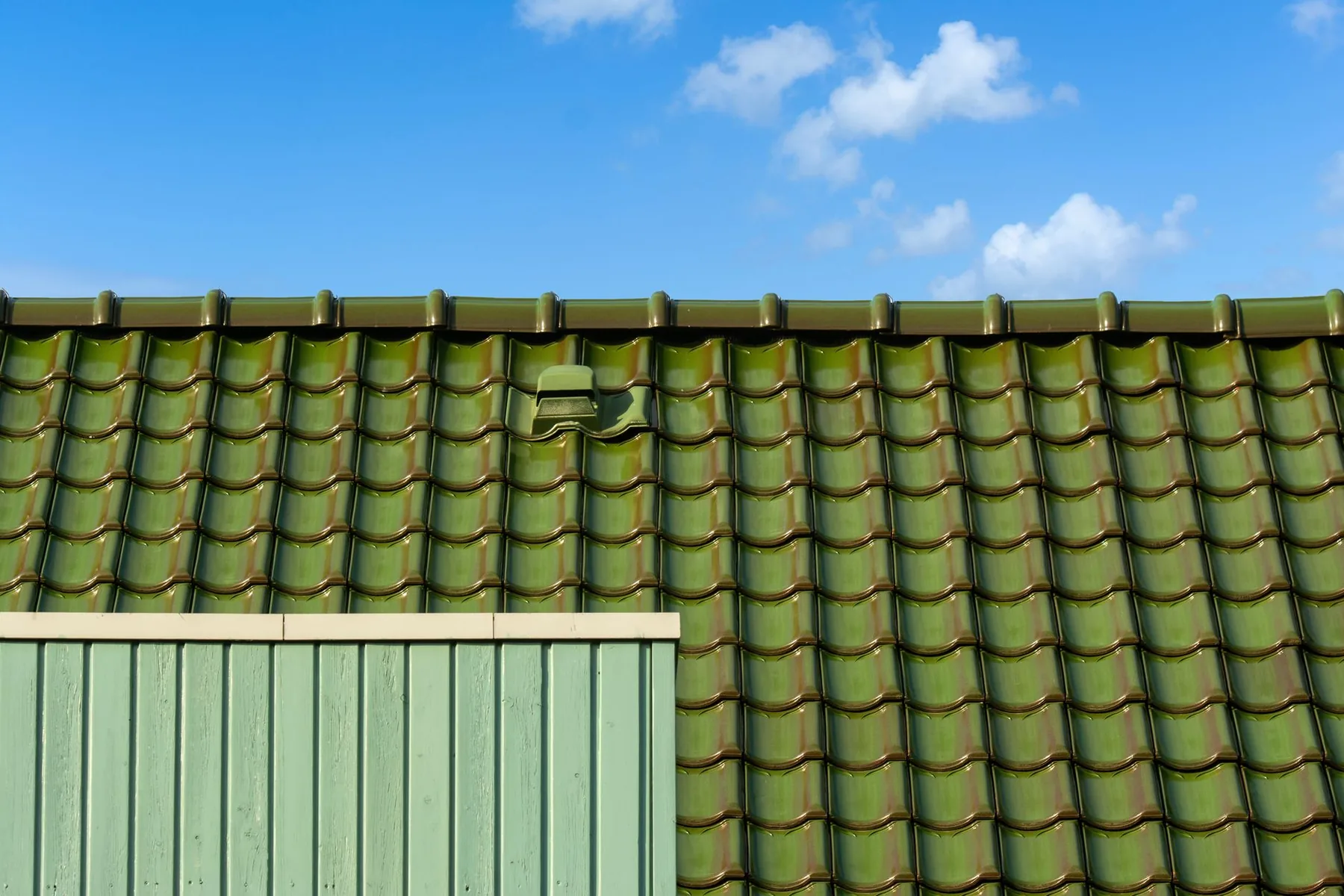 Moss and lichen covering a tiled roof slope